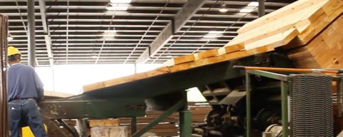 Wood Color Paint industry insight