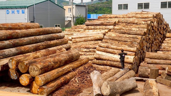 Wood industry insight