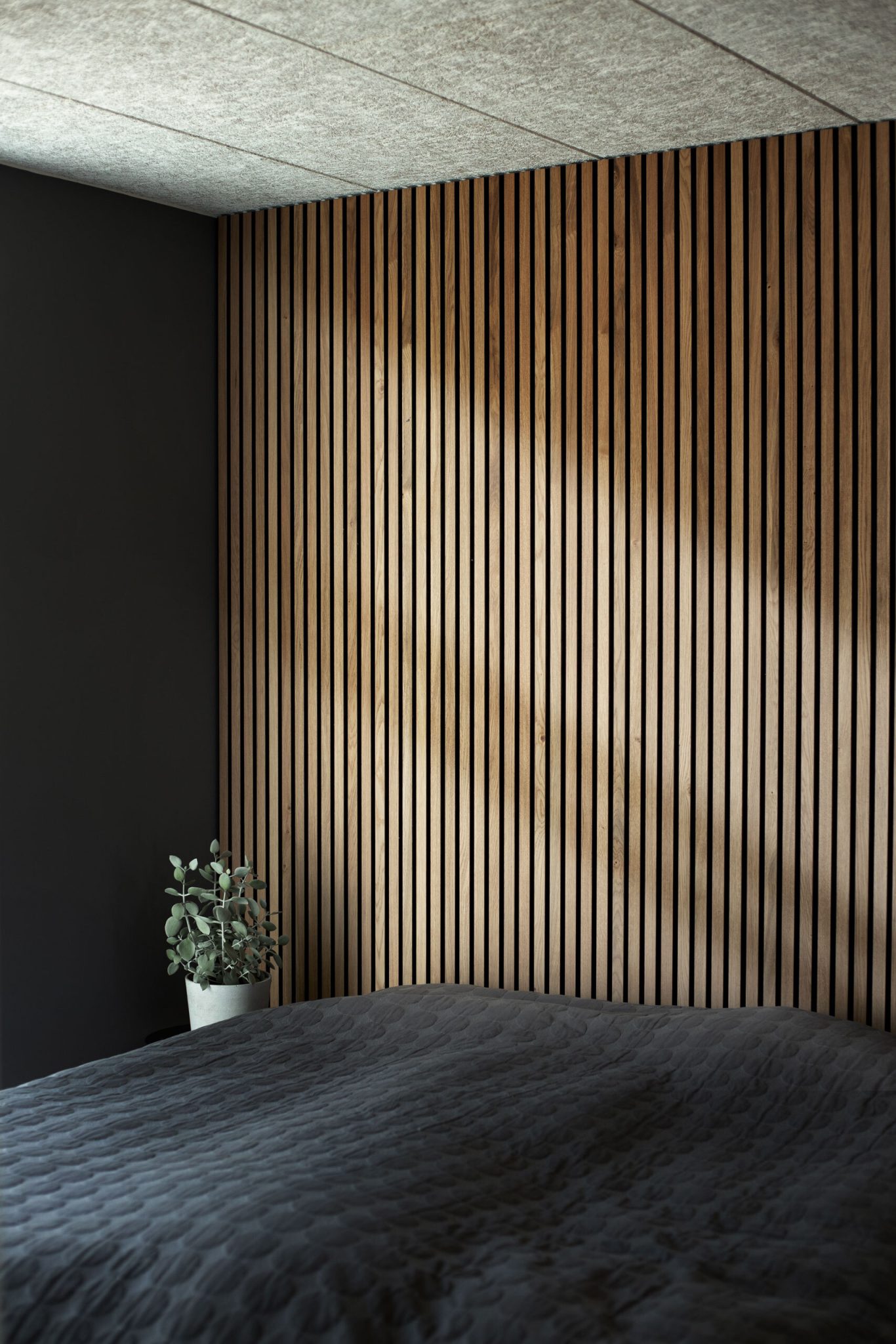 Wooden slat wall, wall panels & acoustic panels » WoodUpp