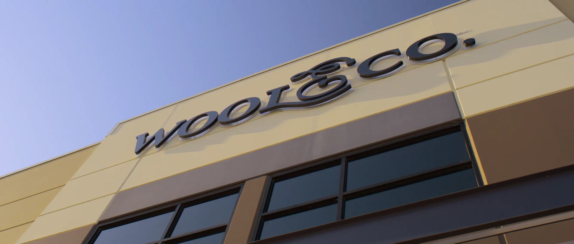 Wool and Company Fine Yarn