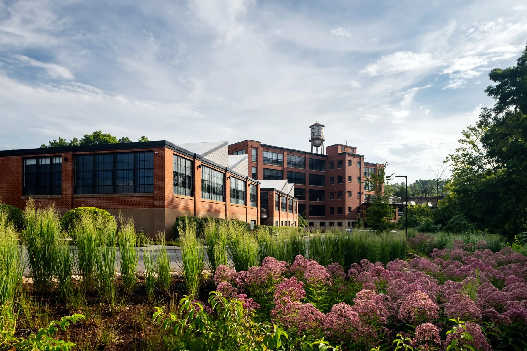 Wool Project: Sustainable Sweater