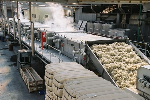 Wool Tops industry insight