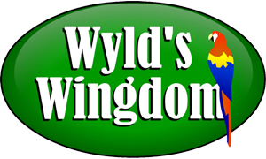 Wyld's Wingdom » Feed