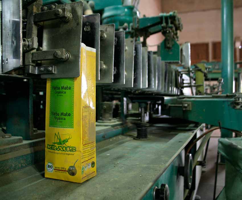 Yerba Mate Wholesale industry insight