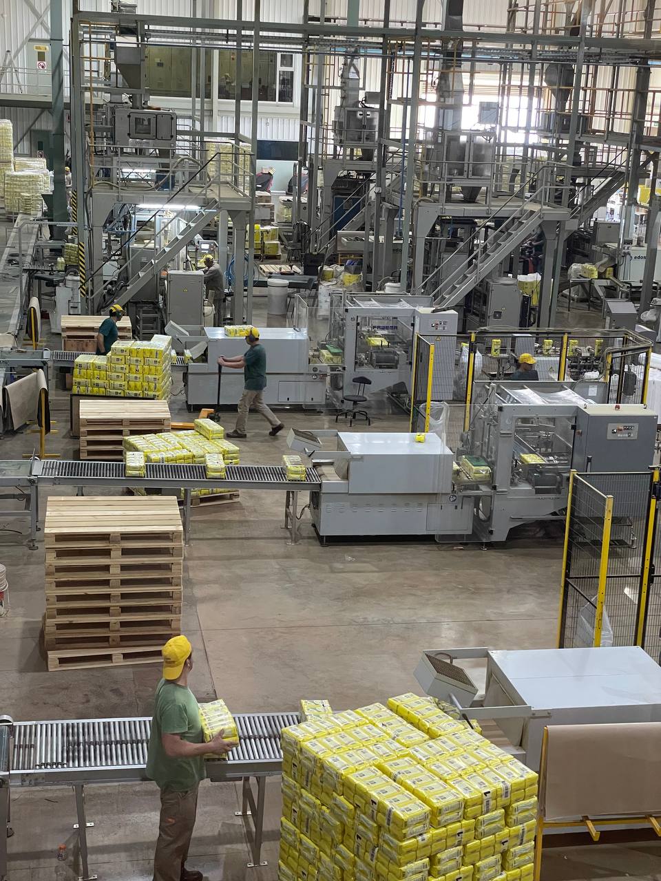 Yerba Mate Wholesale industry insight