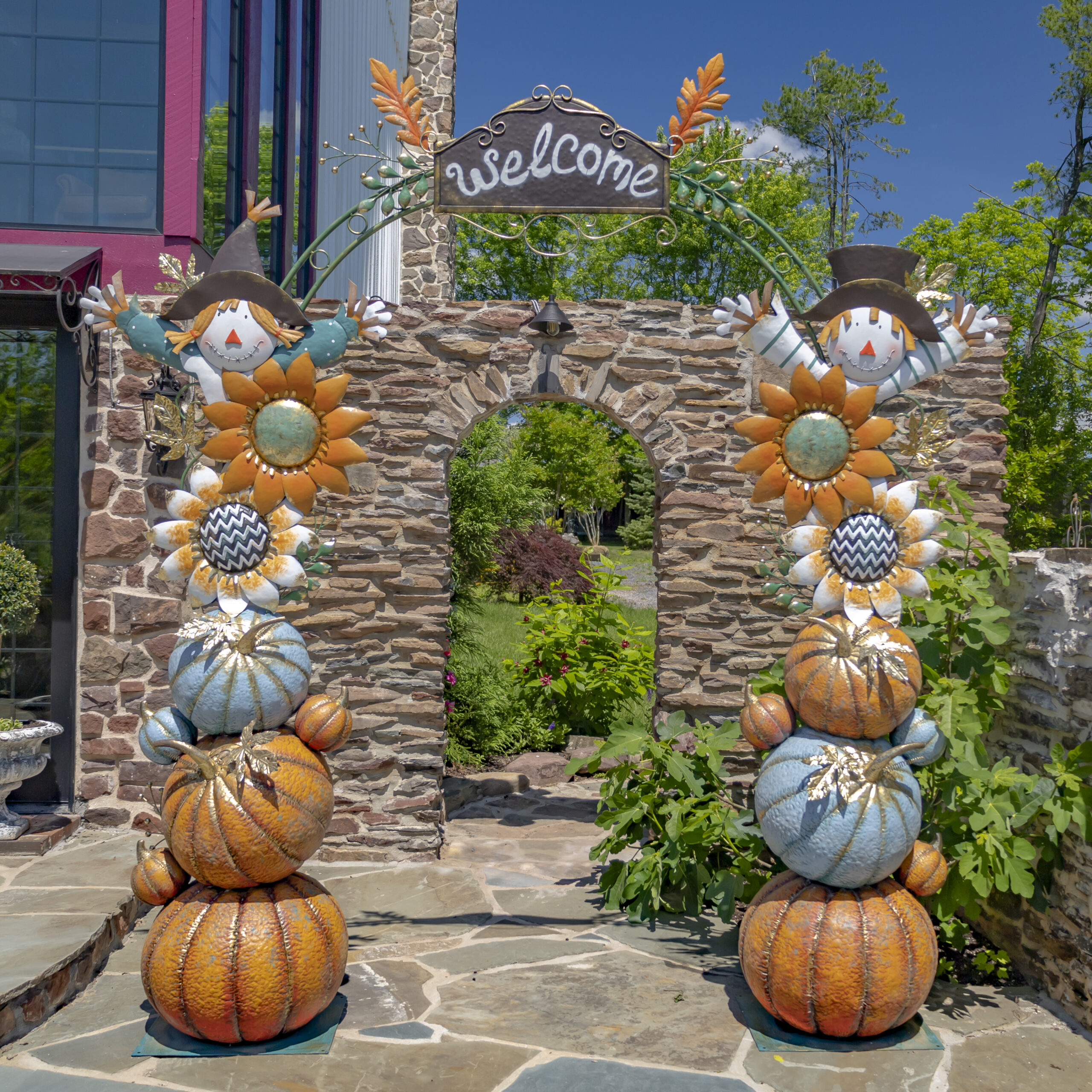 Zaer LTD International